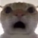 cacshock