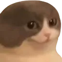 sus_cat sus_cat