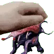 PetMaggot