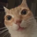 emoji_66