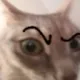 Sussyballsbro