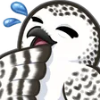 tytoLOL