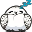 tytoSNOOZE