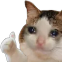 catOK