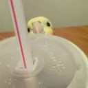 Whentheycallyoucuteandyouwanttol