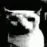 cat_depressed