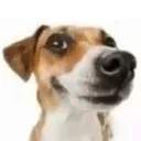 ooooo