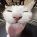 Catlick catlick Discord Emoji