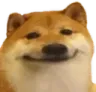 dogO