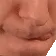 LickLips