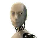 No