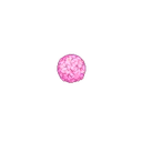 SBT