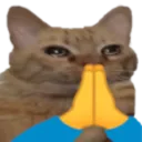 catPray