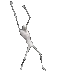 SCP096Rage