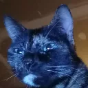 ConstipationCat Discord Emoji