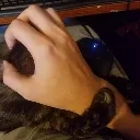 facehugged Discord Emoji