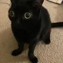 c_
