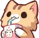 kot_drinking kot_drinking