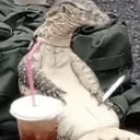 lizard_smoking_a_fat_doob