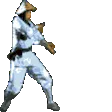 RaidenF1 RaidenF1