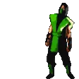 RaidenF2