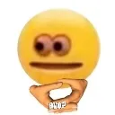 Ayo