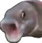 PogFish