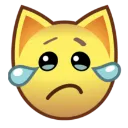 cry
