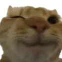 winkwink