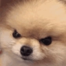 angy Discord emoji