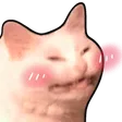 DNS_cablush