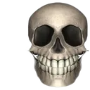 realskull