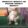MA_ModsModsMods