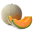yahiaCANTALOUPE