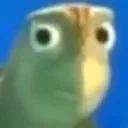 turtlejudge