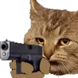 kirstGun