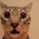 ohmahgawdwatdahel