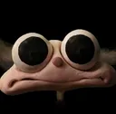 OpalStare