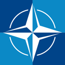 nato Discord emoji