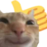 thumbsupcat