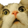 MEOWOW Discord Emoji