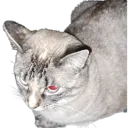 DevilishCreature