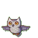 owlsec9