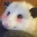 imblushingstawpit