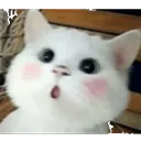 OooWow Discord Emoji