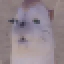 sealstare