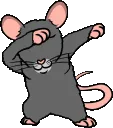 rat_dab_gif