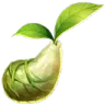 Mokoko_1