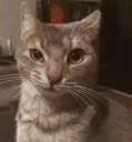 huh