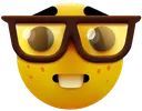 nerdass